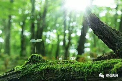 孤魂野鬼与生肖之谜,探寻生命哲理的幽微之处 孤魂野鬼与生肖之谜,探寻生命哲理的幽微之处