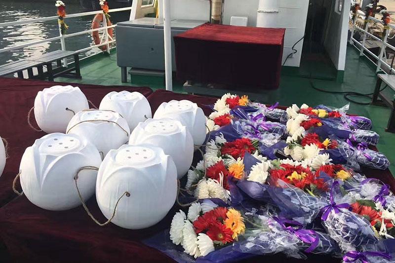 海葬图片猜一动物?正确解释与落实