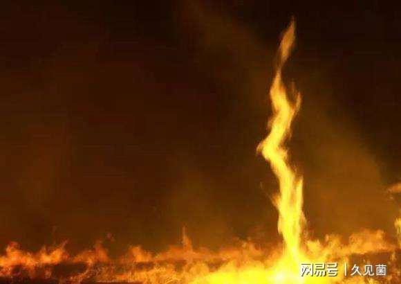 水火无情打一生肖，正确解释与落实