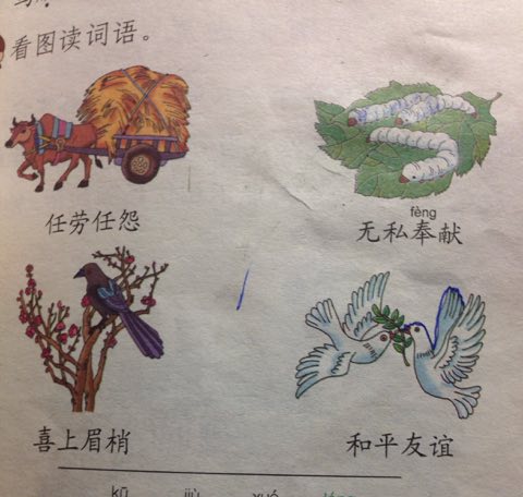 读书君子是才人代表猜一动物，正确解释与落实