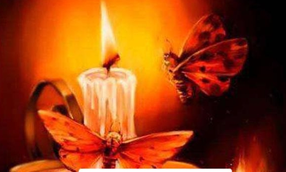 飞蛾扑火是指什么生肖，绝佳解释落实