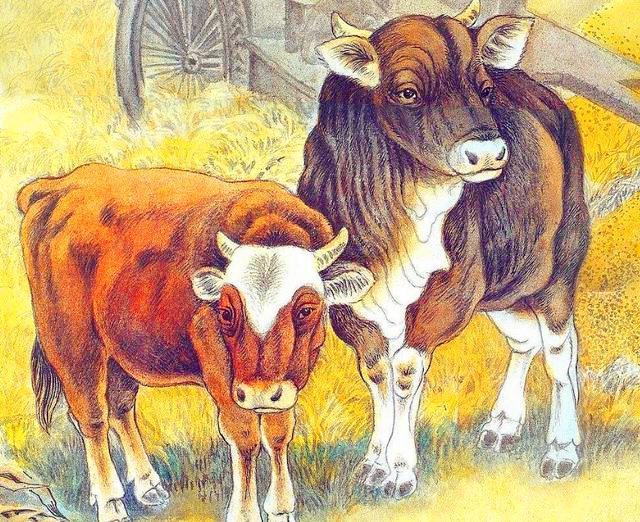 东山再起是猜一生肖，词语的深层释义与文化解读