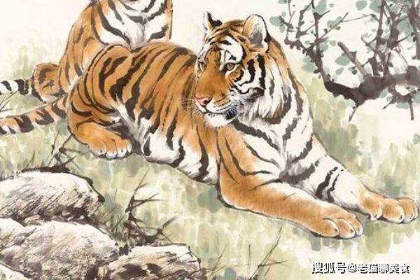 翻江倒海打一正确生肖，真相解释落实