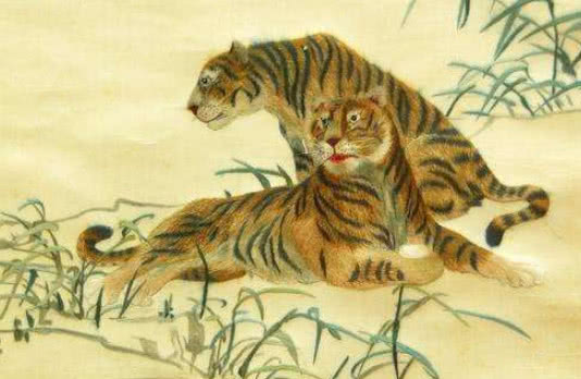 一哄而散打一生肖动物，积极解释与落实的转变