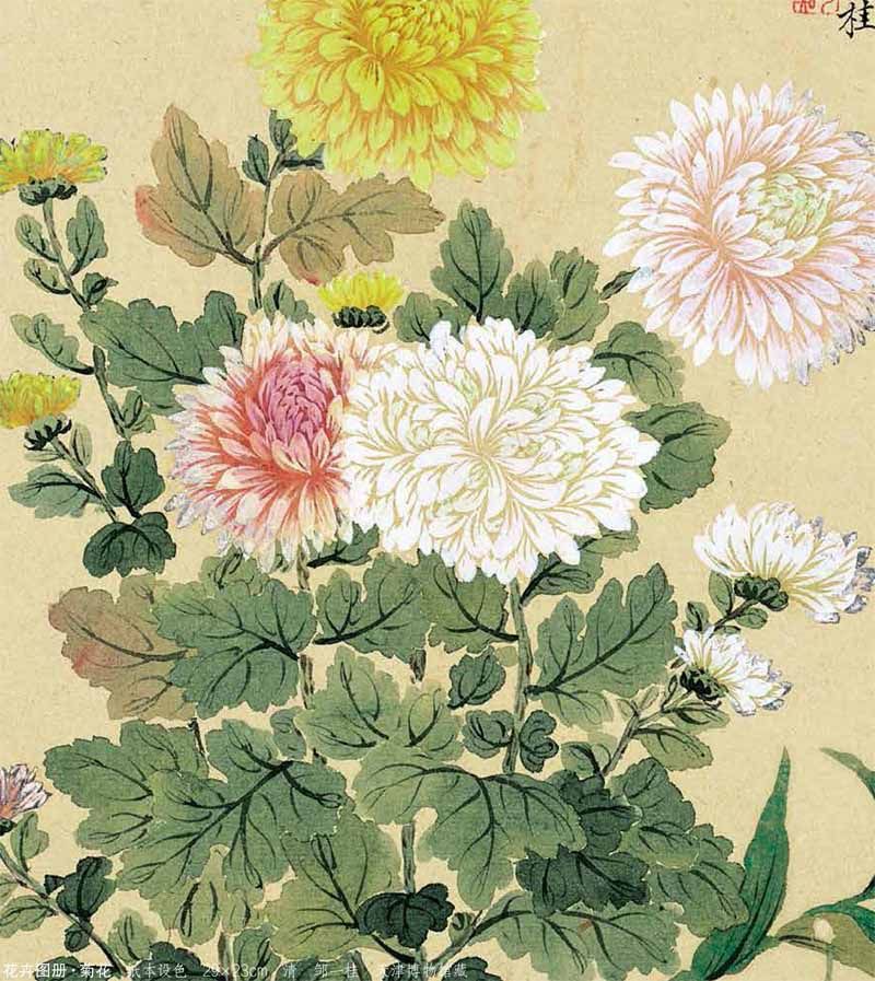 秋菊依簇三二开是指什么生肖，通常解释落实