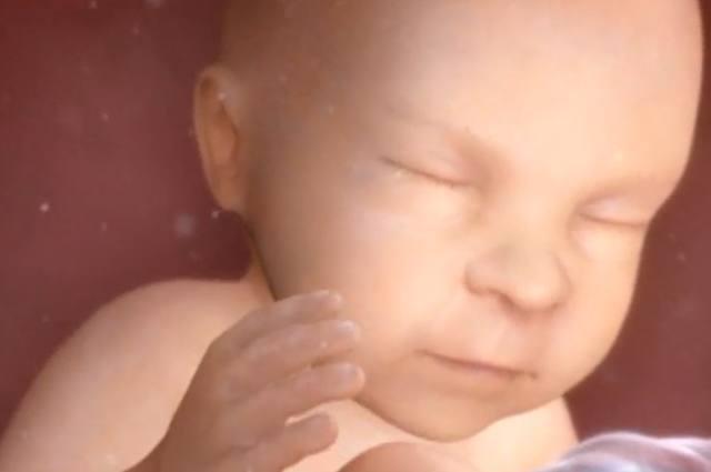 群雄逐鹿什么生肖，绝佳作答落实解释