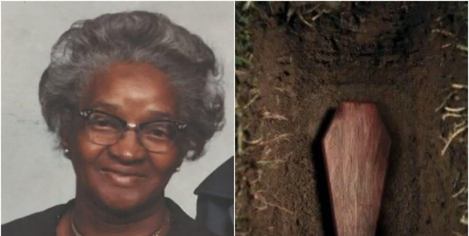 探秘风华正茂背后的动物谜底