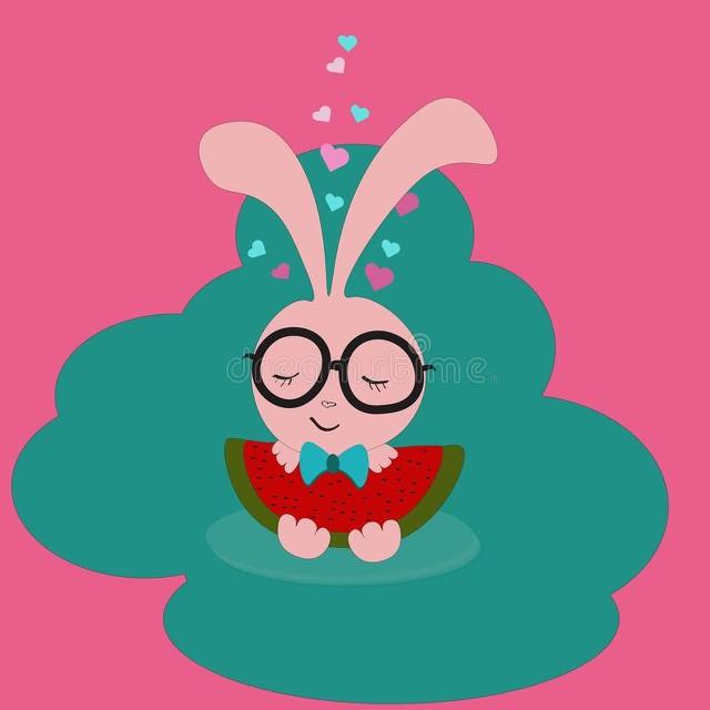 探索生肖兔的月份，精选解析与落实的详细结果