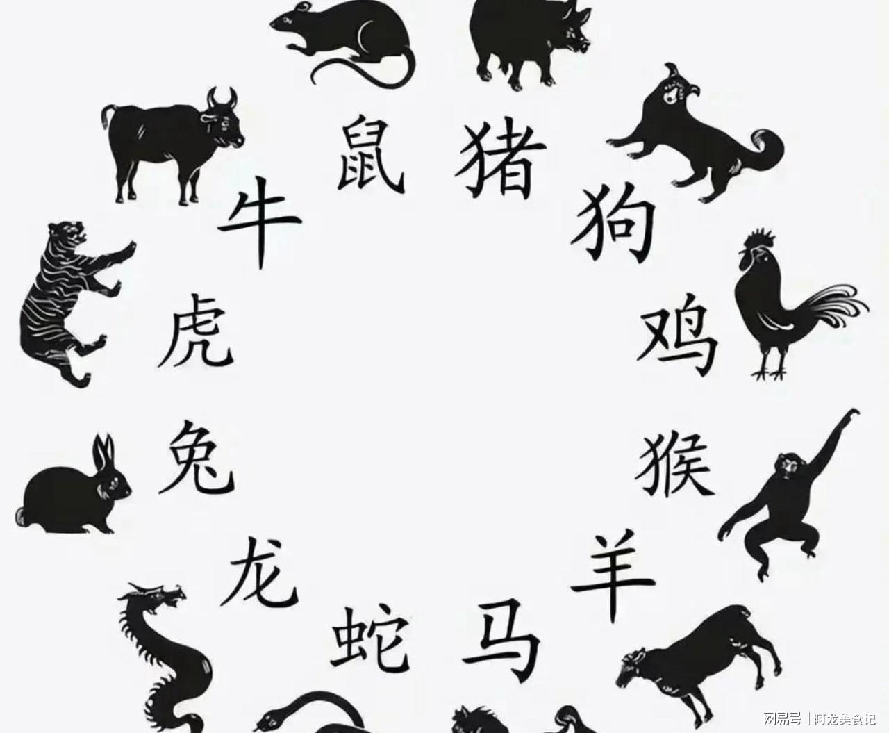 四面受敌打一正确生肖，采民作答落实解释