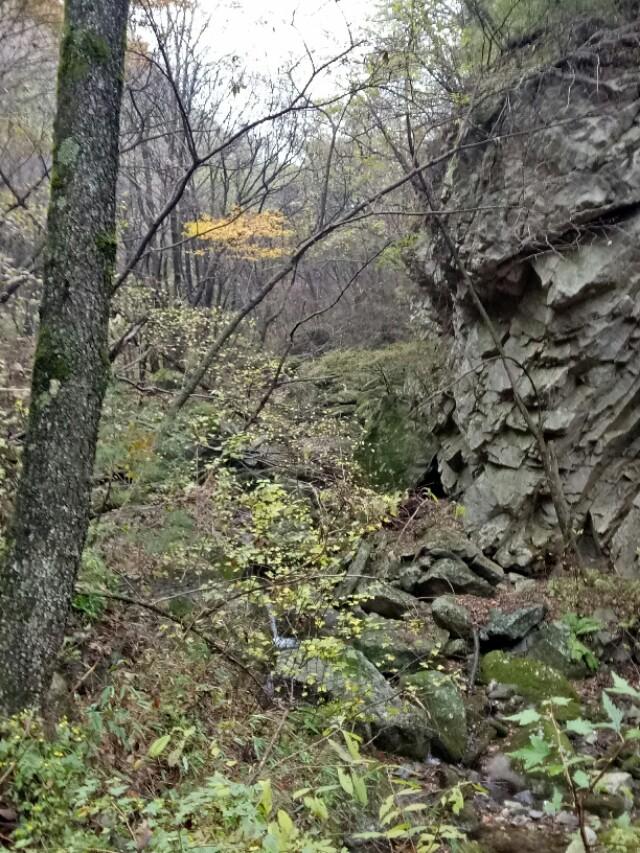 秋意盎然，十二生肖中那些属于秋天的生肖及其文化解读