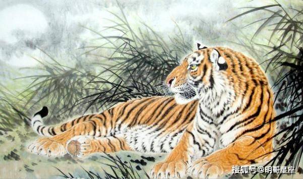 百折不挠猜一生肖，背后的智慧与哲理