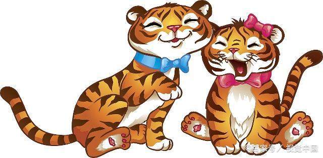 虎女配什么生肖最好，精准解析与落实精神