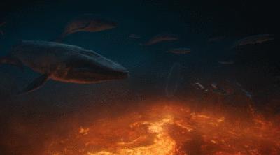 名列前茅猜一动物，理想作答落实解释