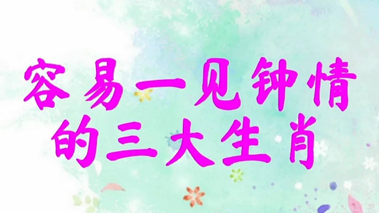 一见钟情与生肖的奥秘，实证探索与文化解析