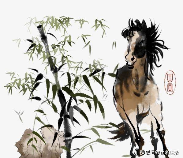 什么生肖孑然一身，绝佳作答落实解释