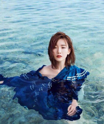 母猪上树是什么生肖，一场误导解释的落实与反思