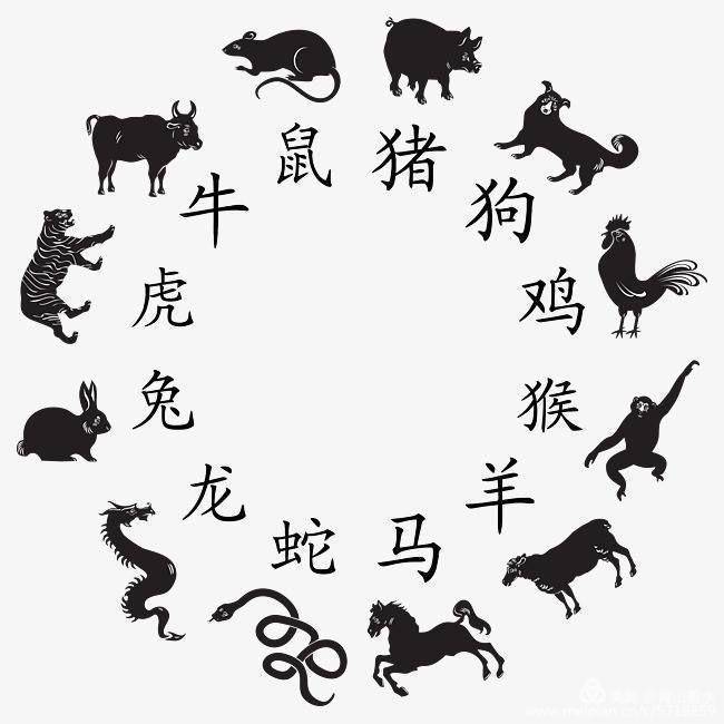 弱肉强食猜一生肖，全面揭晓解释落实