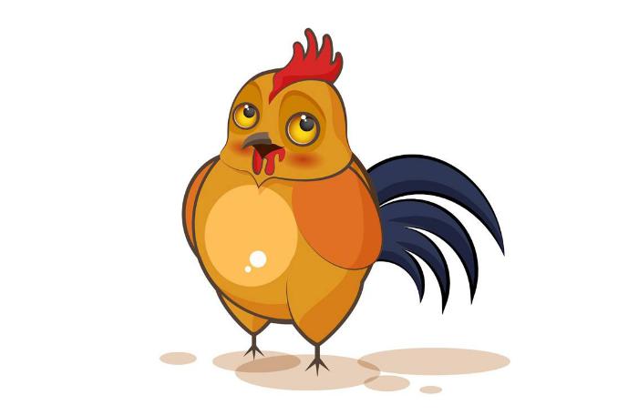 亲上加亲是指什么生肖，落实相信的解释