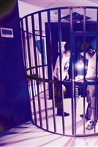 浴血奋战与生肖之谜，一场智慧与勇气的探索