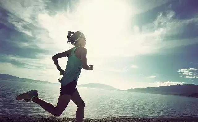 心灵手巧与生肖智慧,揭秘鼠的独特魅力 心灵手巧与生肖智慧,揭秘鼠的独特魅力