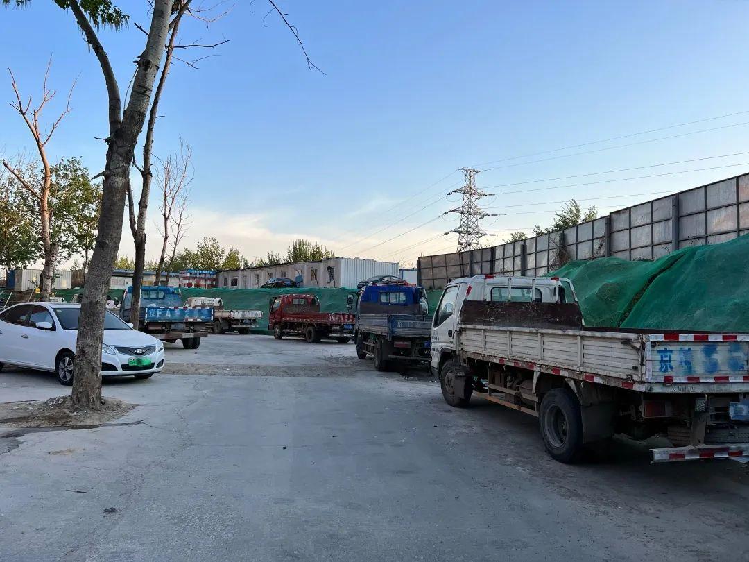 花红柳绿不夜天是指什么生肖，选择解释落实