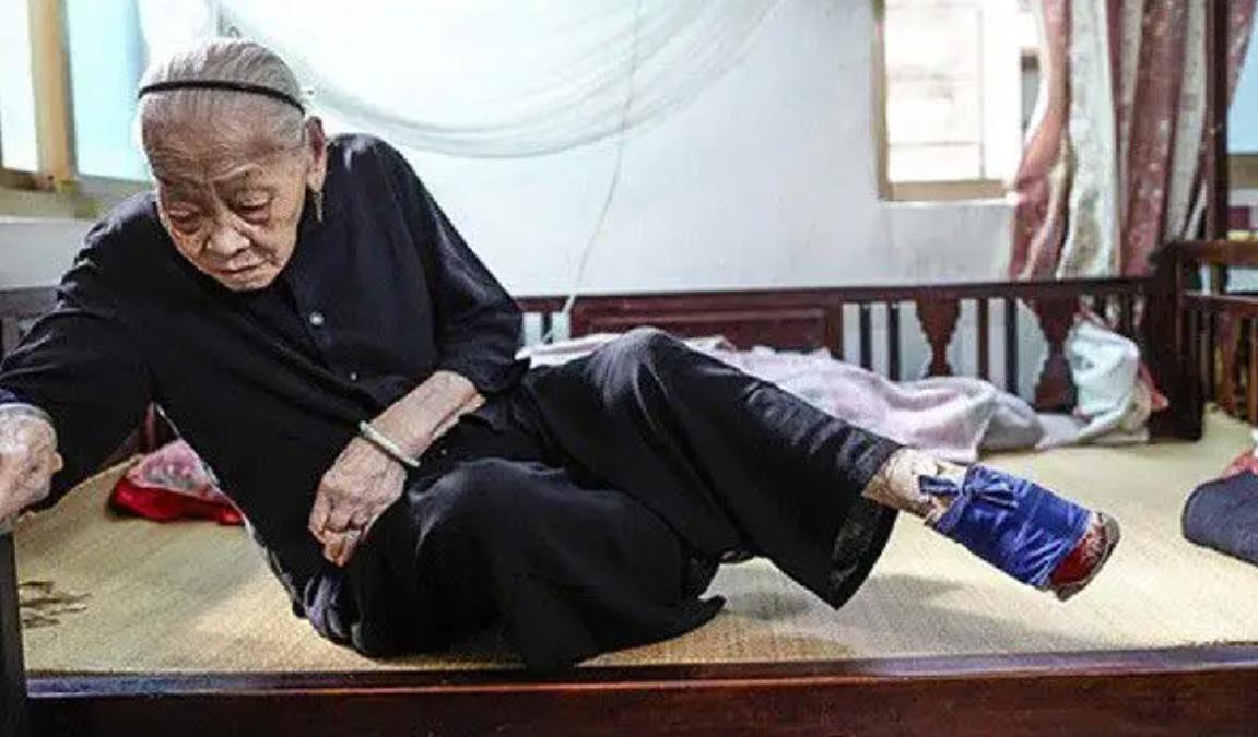 探秘三寸金莲背后的动物谜题，非凡解释与落实