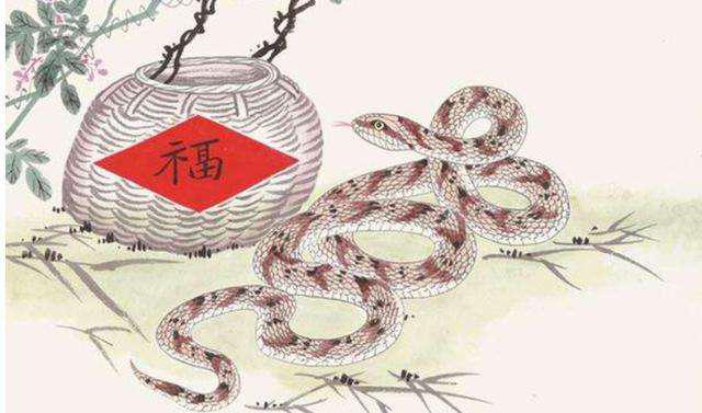 最不值钱是什么生肖，时代解释落实