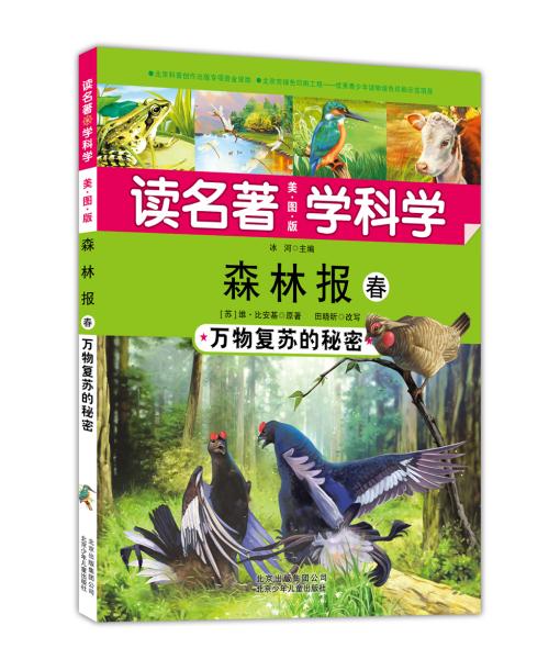 春肖的奥秘，深度解析与落实