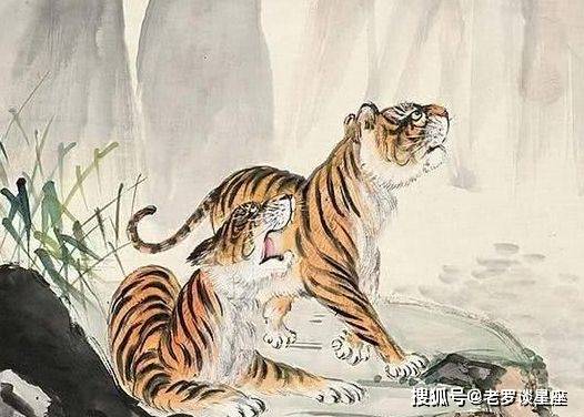 循循善诱打一生肖动物，实证解释落实