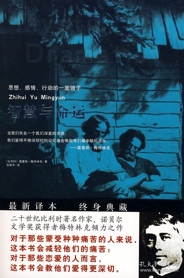 秃头与生肖,一场关于智慧与命运的深度解析 秃头与生肖,一场关于智慧与命运的深度解析