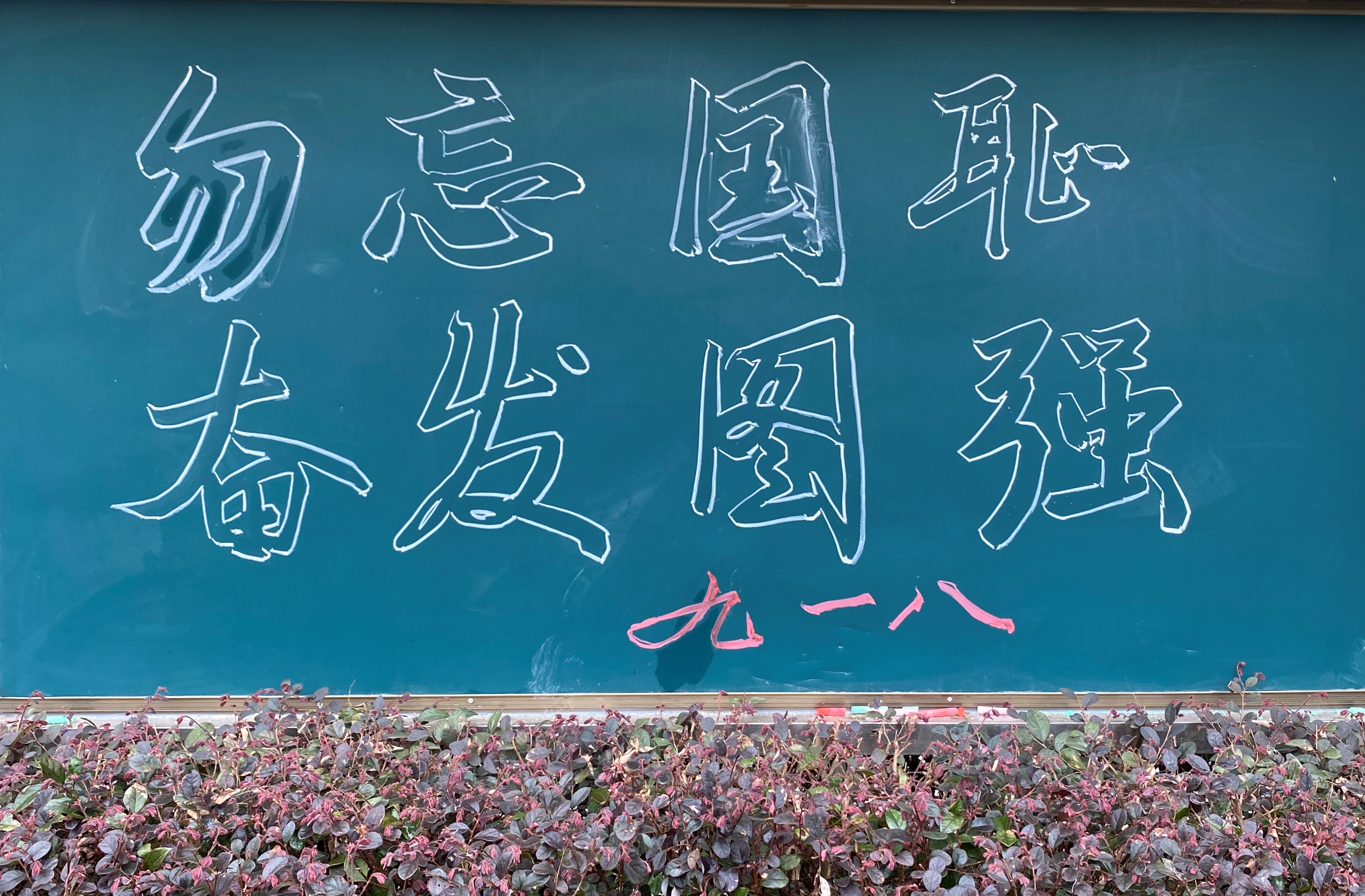 奋发图强,生肖之龙的坚韧与拼搏 奋发图强,生肖之龙的坚韧与拼搏