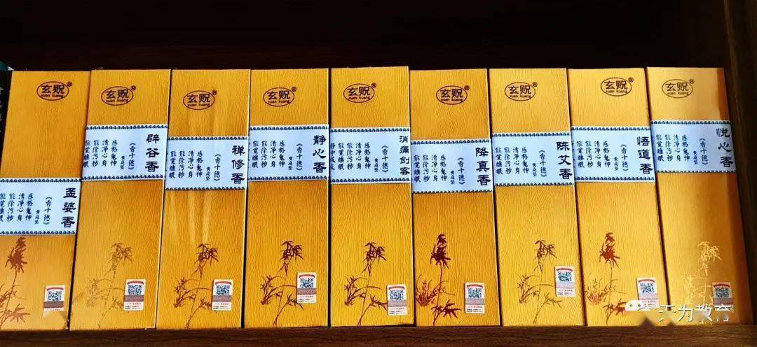 香消烛暗四六定代表什么生肖，的社会进步与文化解析