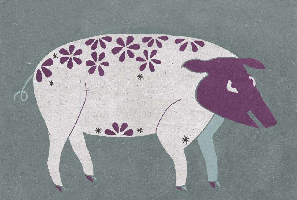 问长问短指的是什么生肖，沉稳作答落实解释