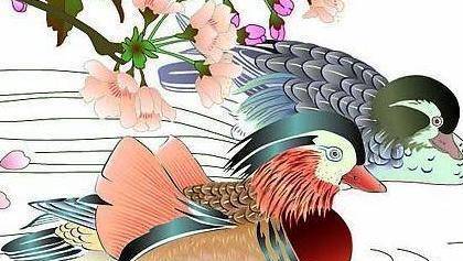 南燕双飞三一笑打一正确生肖?解释与落实的和谐共舞