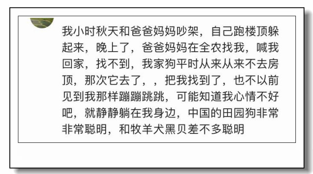 探秘大地万千中的灵动身影—揭秘通常作答背后的动物智慧