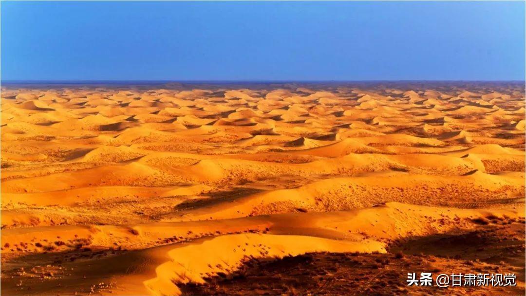 坚韧不拔是什么生肖，神秘解释落实