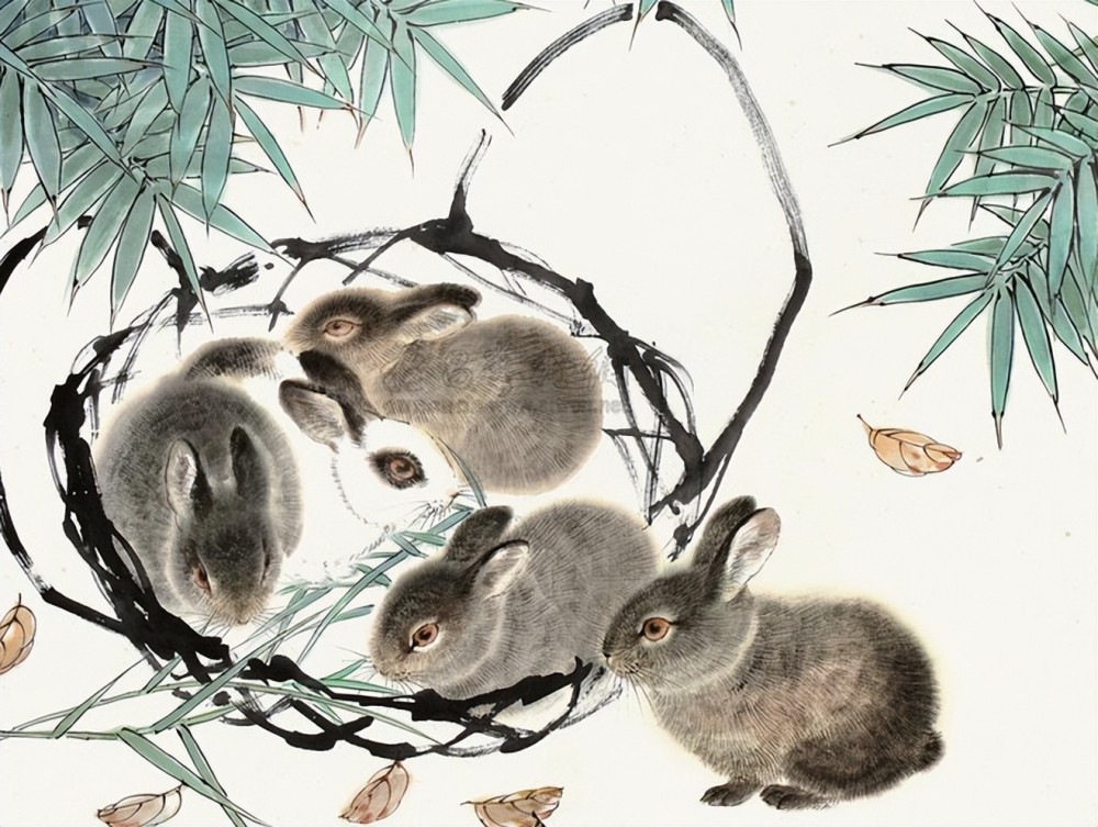 一枝独秀是什么生肖，新型作答落实解释