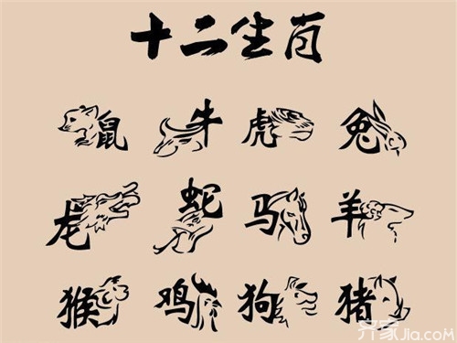 乙丑是什么生肖,实证解释落实 乙丑是什么生肖,实证解释落实