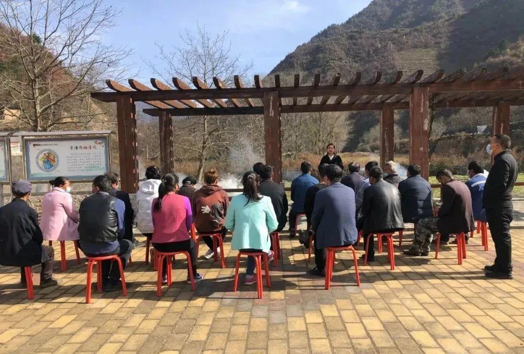 年少得志打一生肖，深度解析与落实