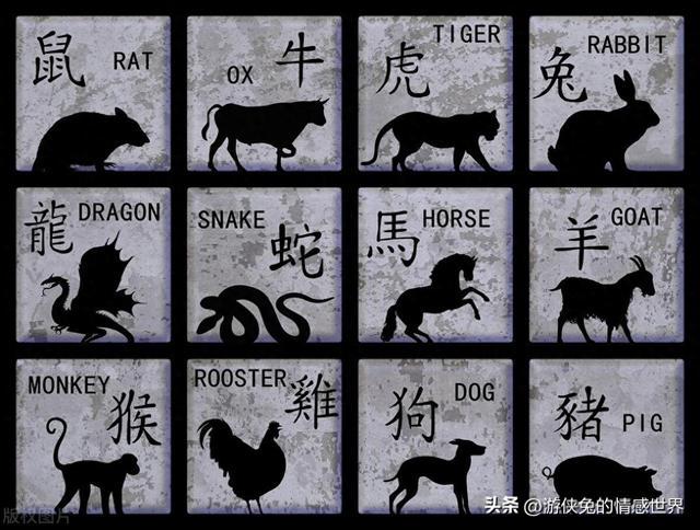 揭秘后来居上的生肖谜题—探寻属相中的智慧与策略 揭秘后来居上的生肖谜题—探寻属相中的智慧与策略