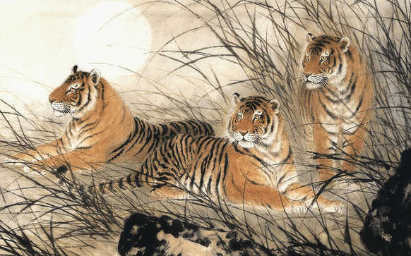 一六相伴五路开猜一动物，的不安分之选