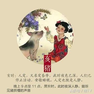 扮猪吃虎,生肖中的智慧与策略 扮猪吃虎,生肖中的智慧与策略