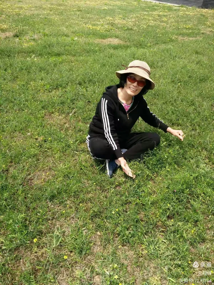 绿草如茵猜一生肖，采民作答落实解释