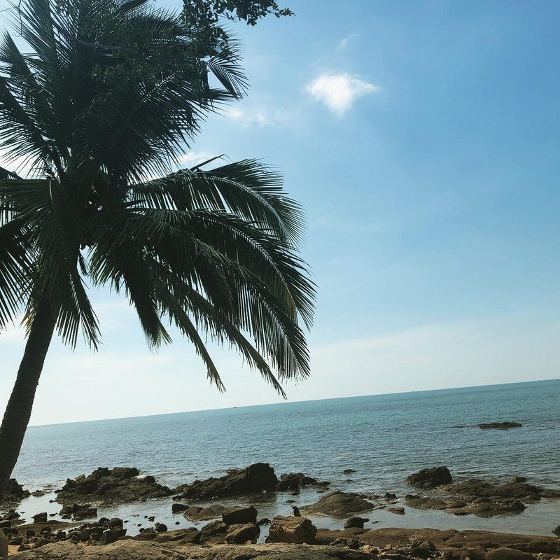 目不暇接，生肖中的视觉盛宴