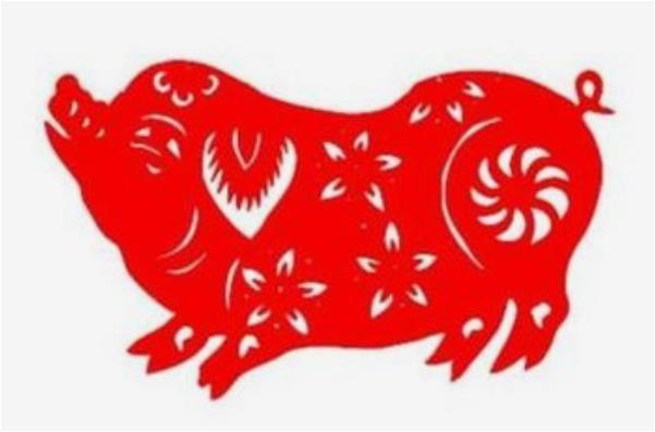 五光十色什么生肖，成就解释落实