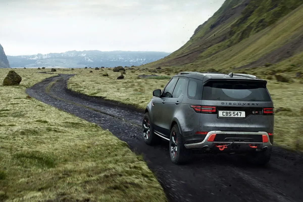 今期生肖不动摇，发现、作答与落实的深度解析