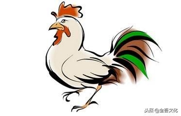 十二生肖之鸡,非凡的寓意与文化落实 十二生肖之鸡,非凡的寓意与文化落实