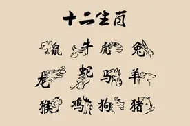 与12生肖有关的成语，谁来落实解答？