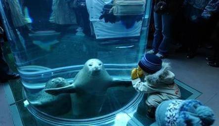 死气沉沉是指什么生肖,的最快解答落实 死气沉沉是指什么生肖,的最快解答落实