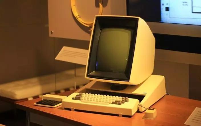 聪明的动物,生肖之鼠的智慧启示 聪明的动物,生肖之鼠的智慧启示